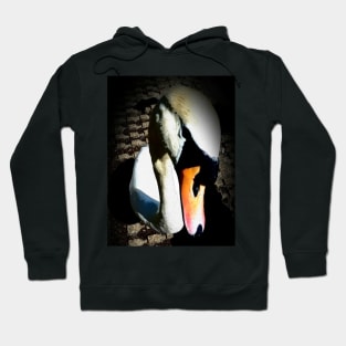 swan Hoodie